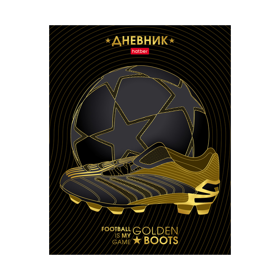 Дневник 1-11 кл. тв.обл.фольга 3D"FOOTBALL" 40л ма