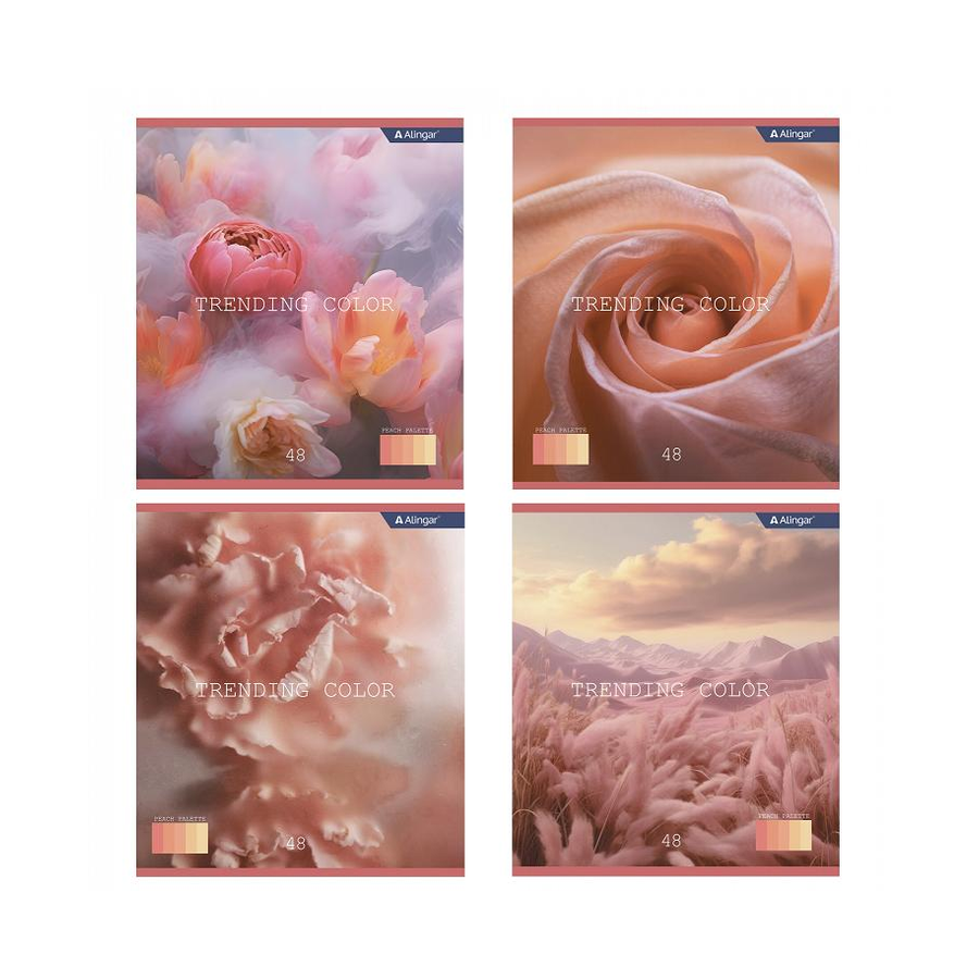 Тетрадь 48л кл. "Peach color" мелов.обл 4вида Alin